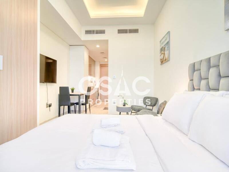 Spacious Studio | Upgraded | Fully Furnished - 5