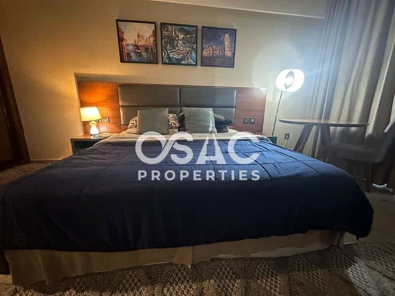 Bright Furnished Studio|Luxury Living|Inquire Now - 4