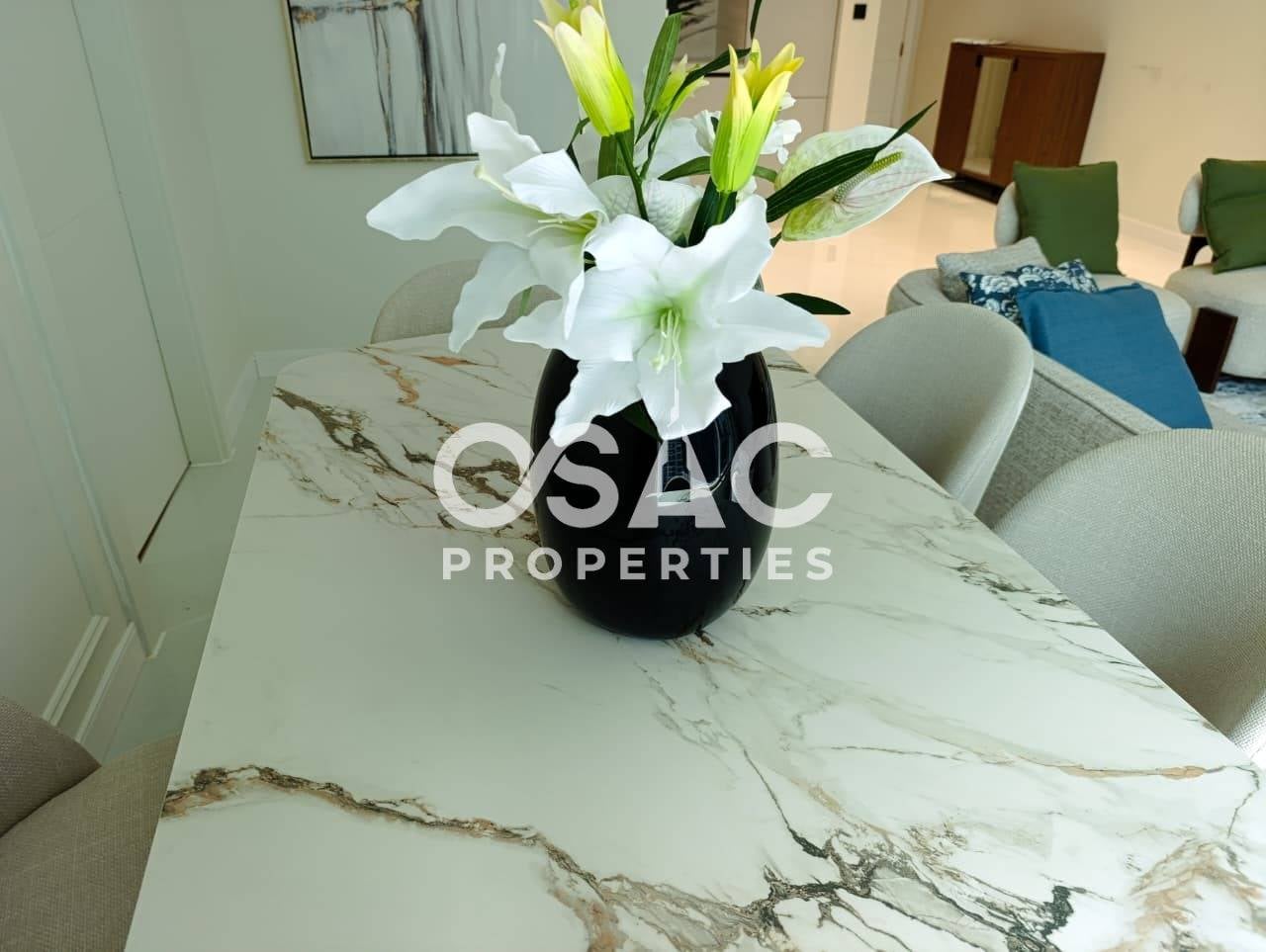 Prime Location | Fully Furnished | Canal View - 4