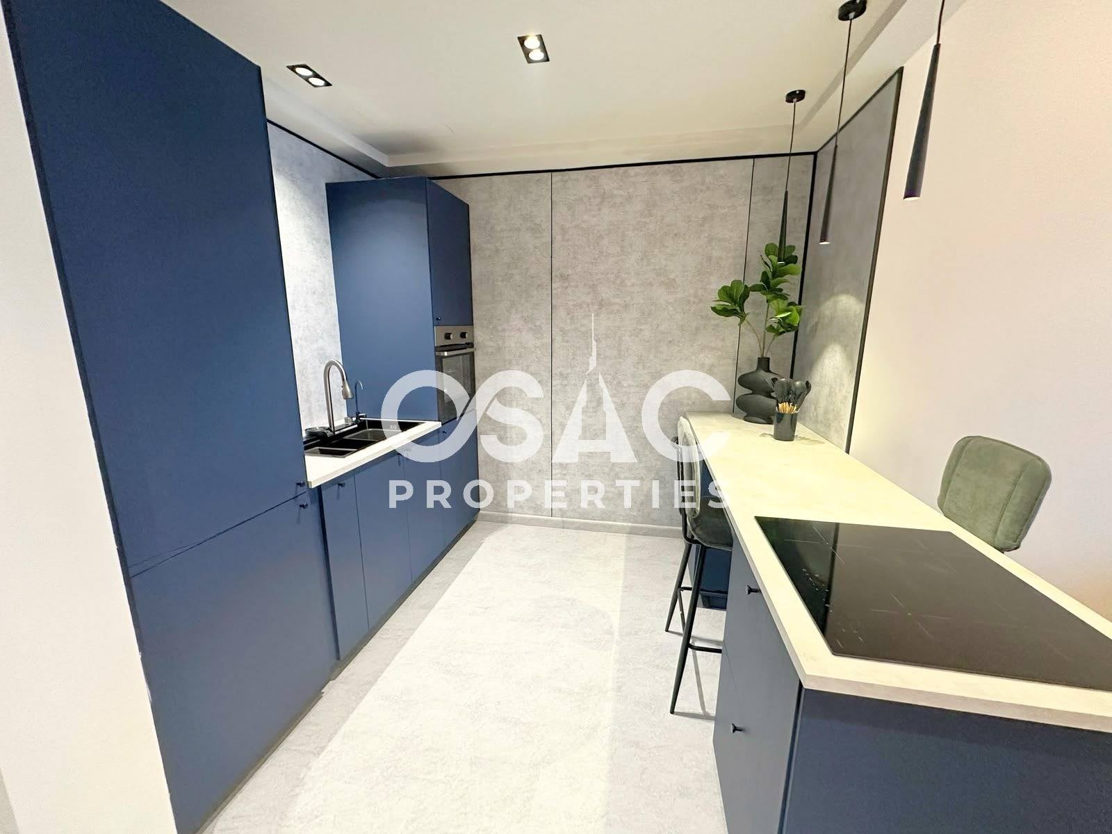 Fully Furnished | Upgraded |  Vacant  - 4